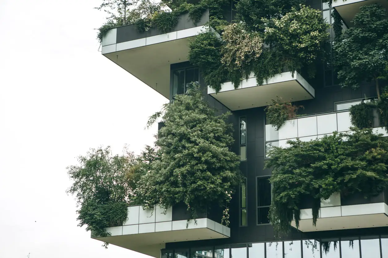 blog 1 servicio de paisajismo para terrazas en Barcelona