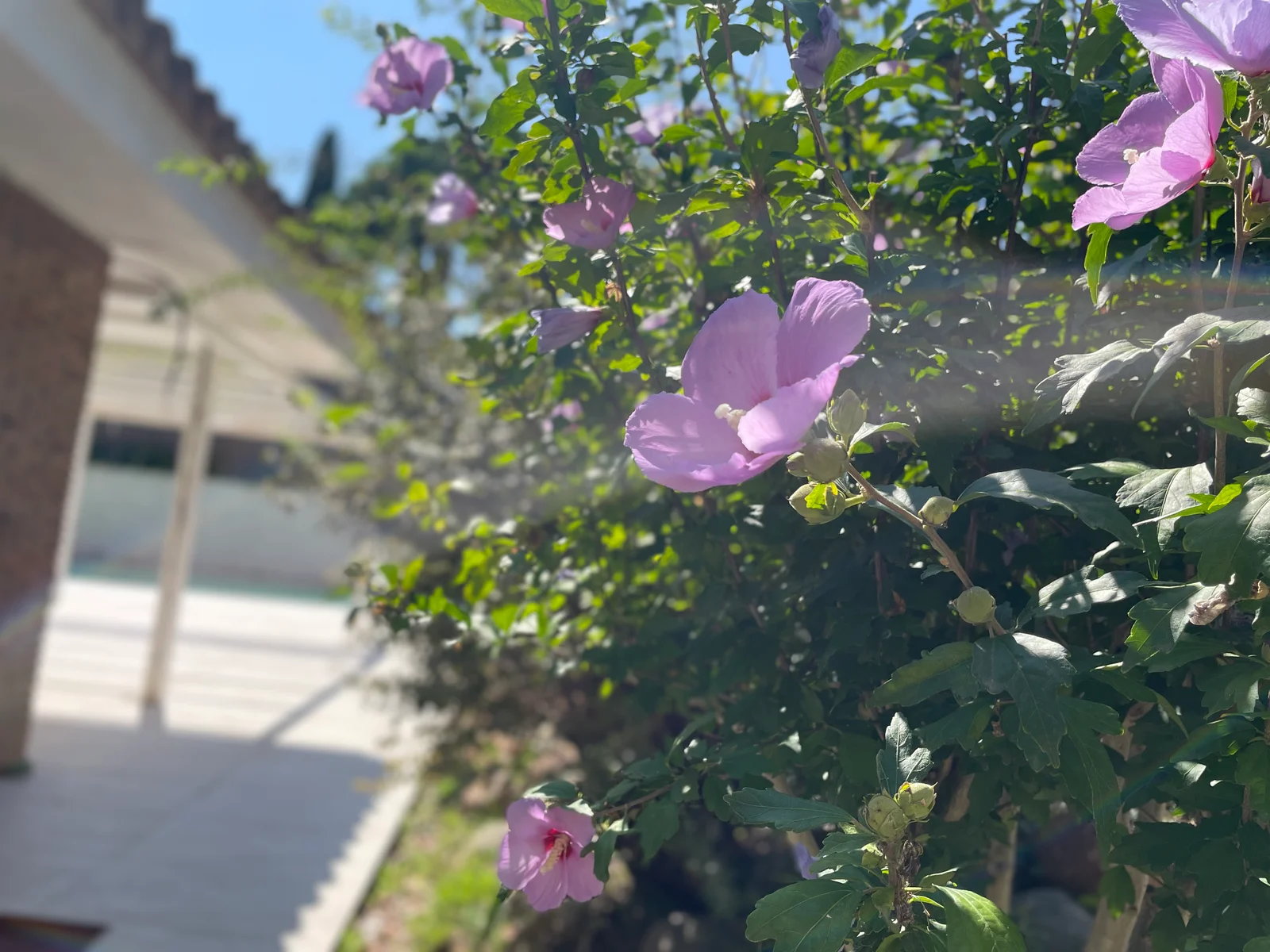 JARDIN ARGENTONA FASE 1 SEPT 2025 1