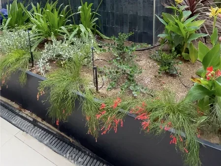 Transformacion jardinpiscina en Bonanova 00 edited