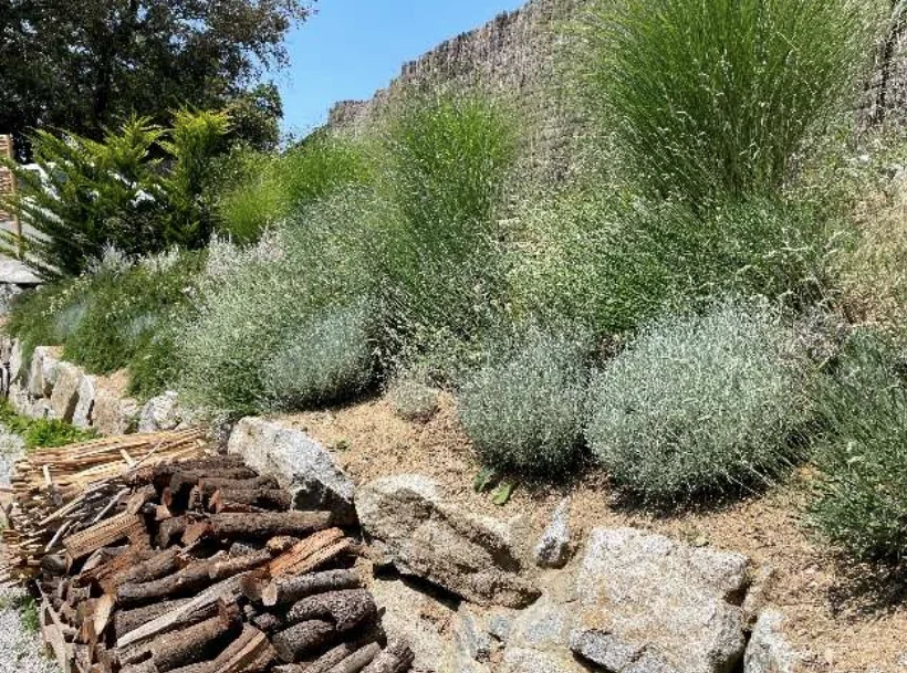 articulo2 paisaje v2