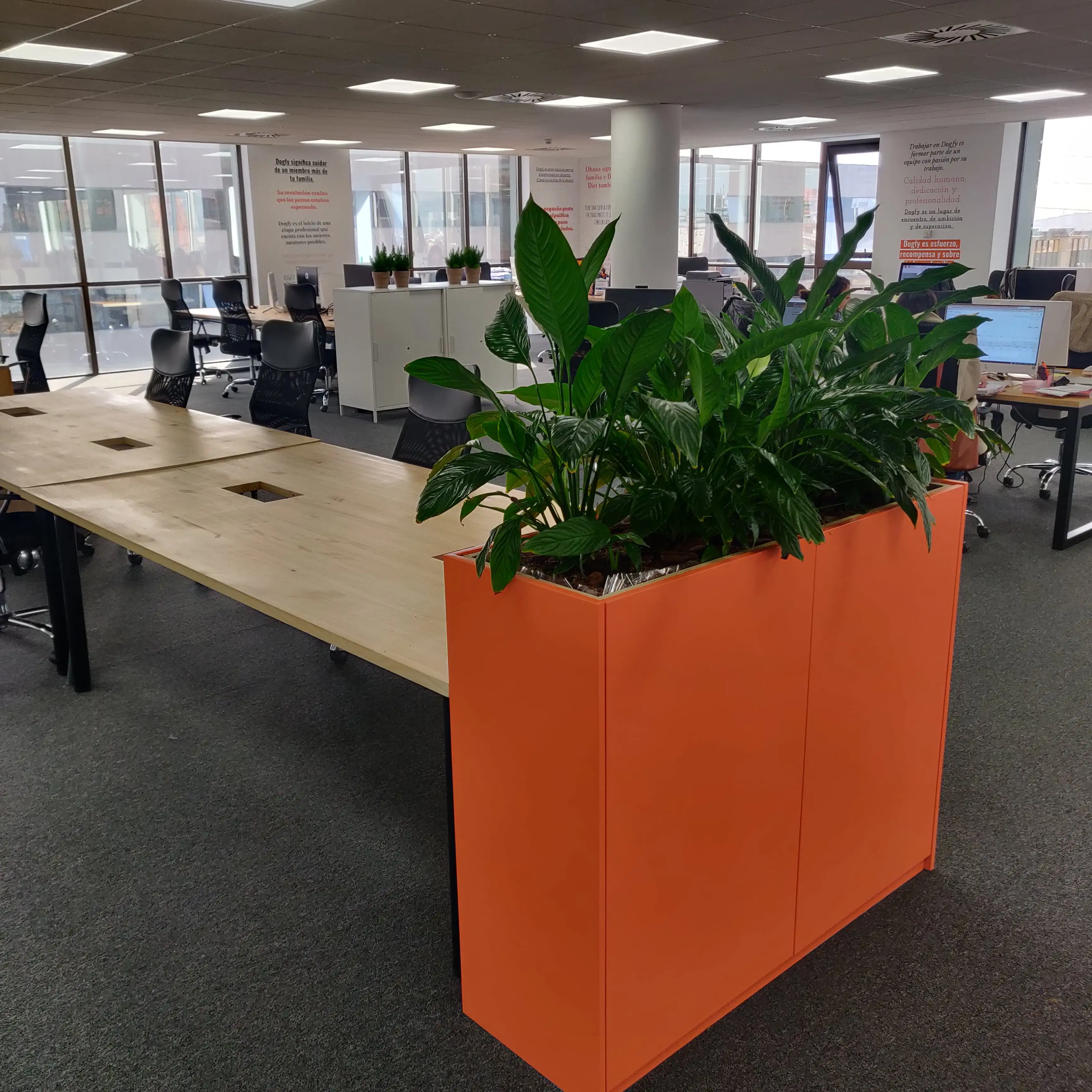 Interiorismo verde en invierno: naturaleza dentro de casa 1 articulo7 planta interior