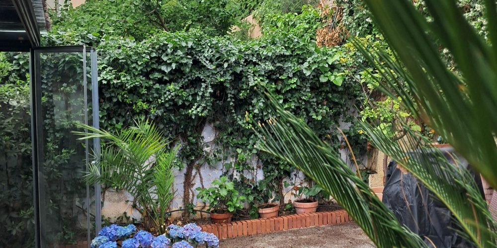 Anna Mestres Mayo 24 (1)