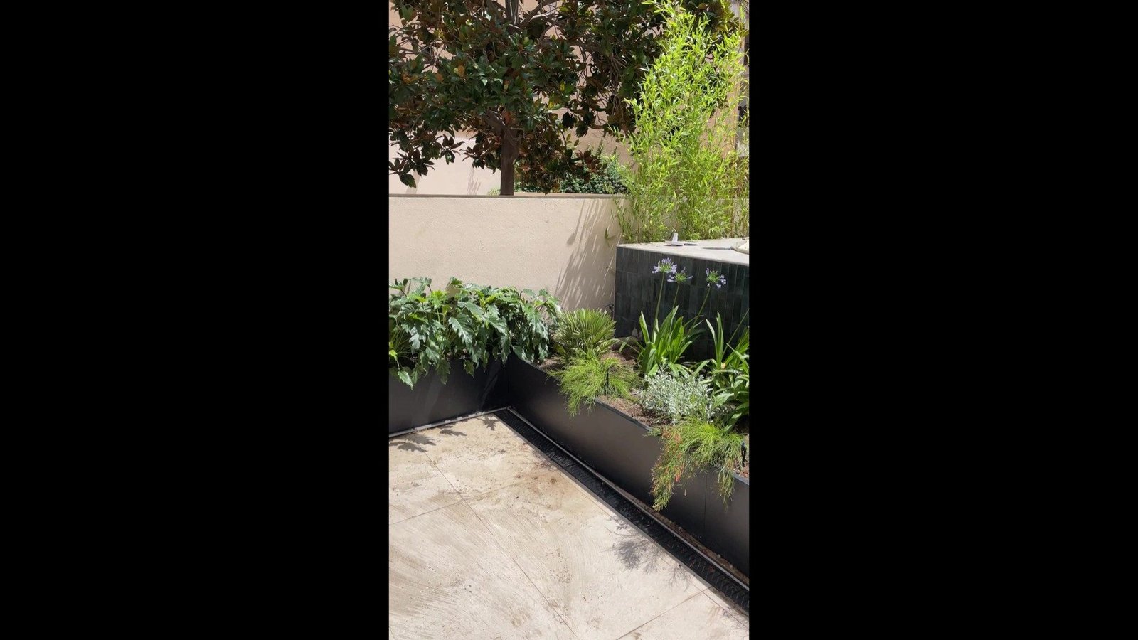 BONANOVA GENERAL - frame at 0m2s