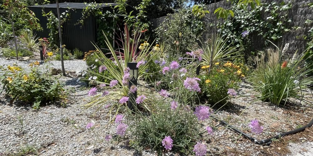 JARDIN DOSRIUS JUNIO (18)