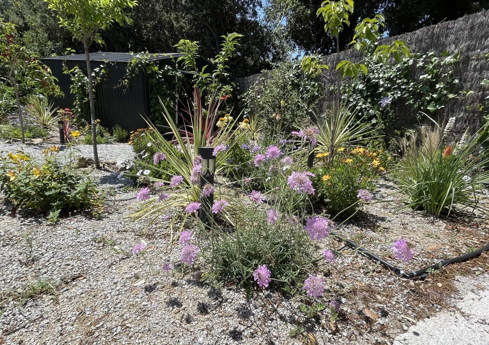 JARDIN DOSRIUS JUNIO (18)