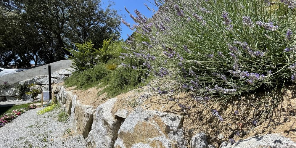 JARDIN DOSRIUS JUNIO (31)