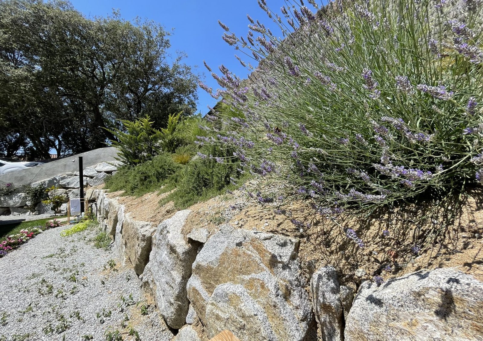 JARDIN DOSRIUS JUNIO (31)