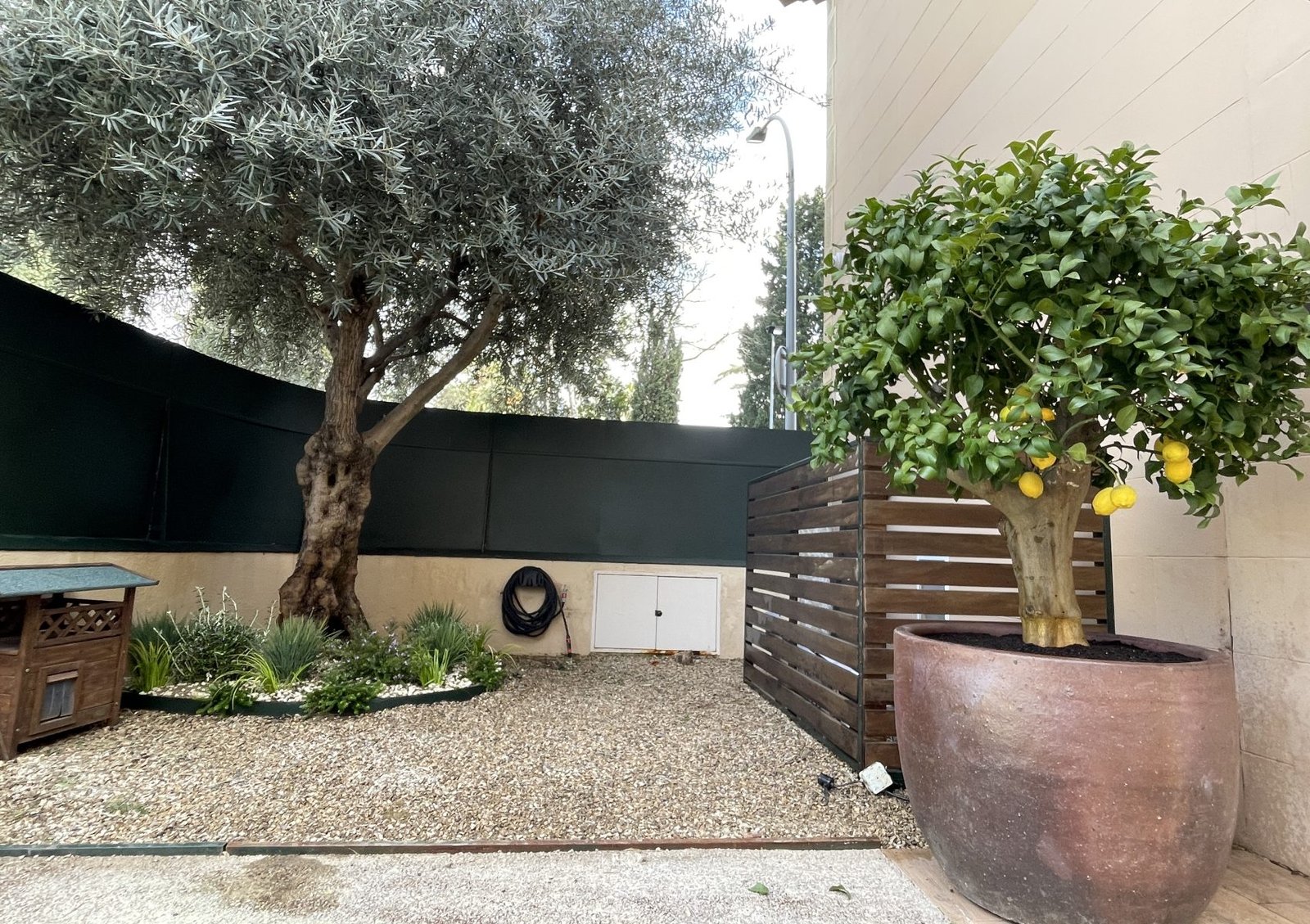 JARDIN LUIS Y MARIONA (17)