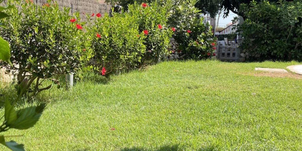 Jardin Cala Blanca (2)