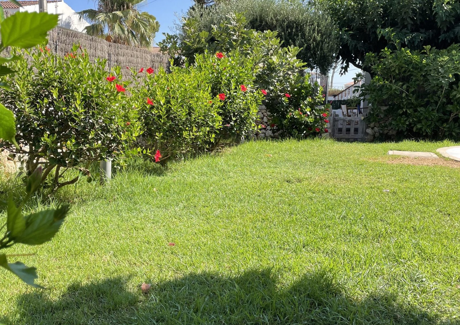 Jardin Cala Blanca (2)