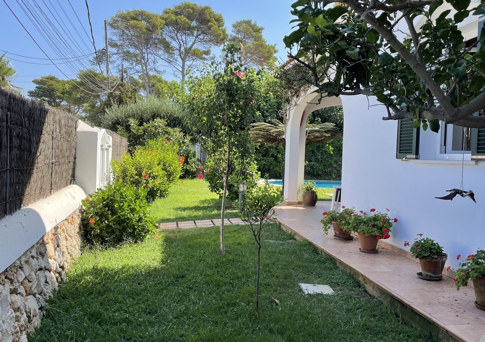 Jardin Cala Blanca (6)