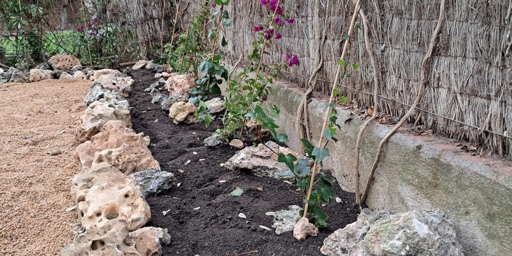 Jardín Vilasar Ana Marzo 25 (10)