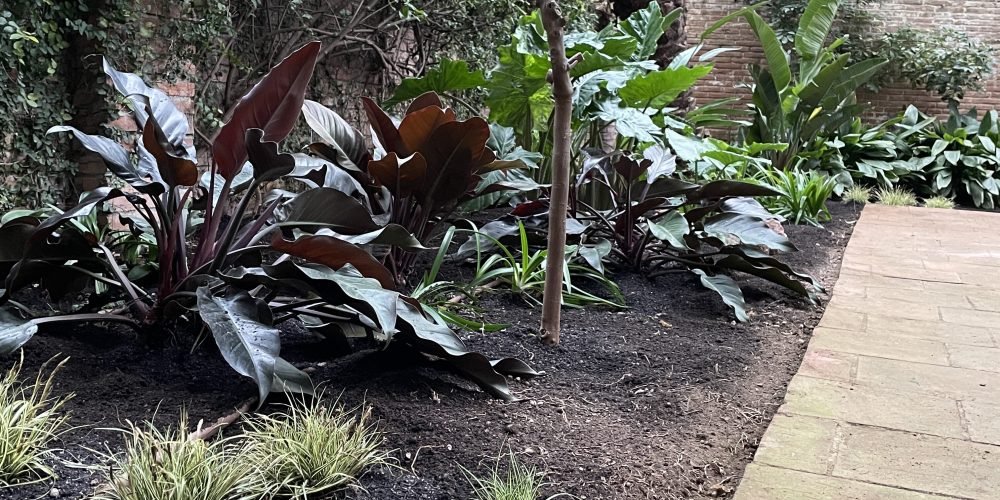 Perez cabrero Puchi 2025 (12)