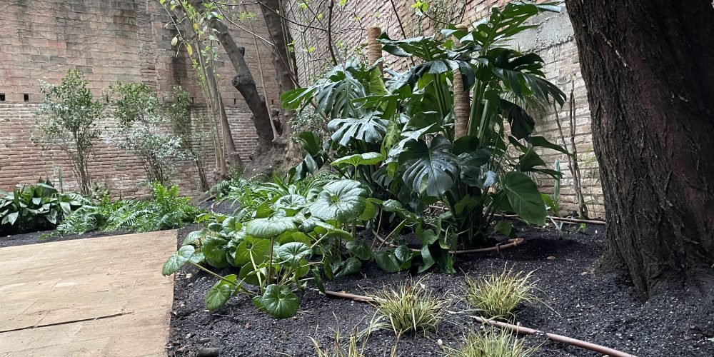 Perez cabrero Puchi 2025 (7)