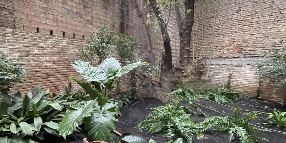 Perez cabrero Puchi 2025 (9)