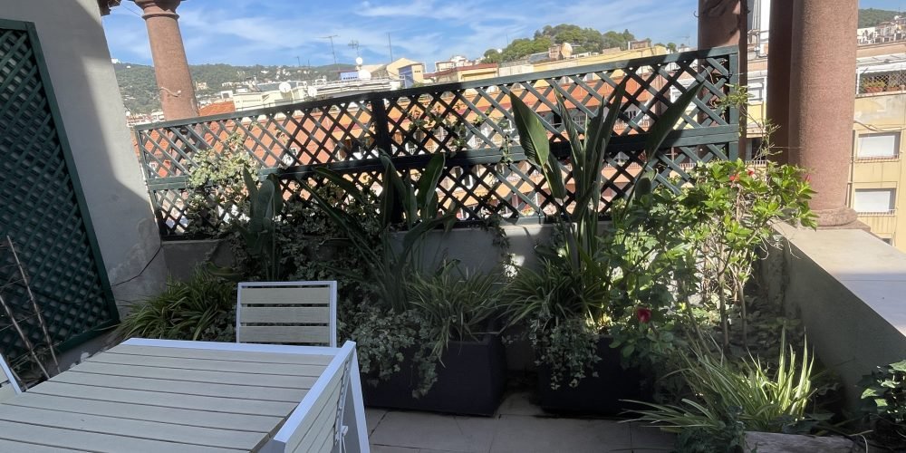 TERRAZA ANA MUÑOZ OCT 25 (11)