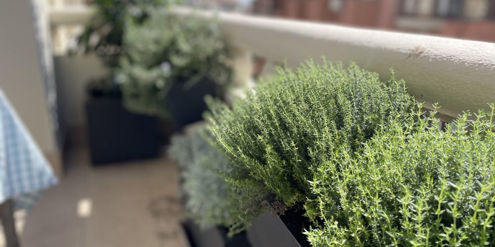 TERRAZA ANA MUÑOZ OCT 25 (7)