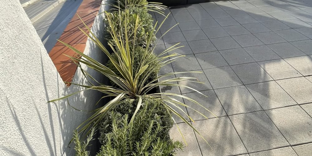 TERRAZAS VIA AUGUSTA ABRIL 24 (48)