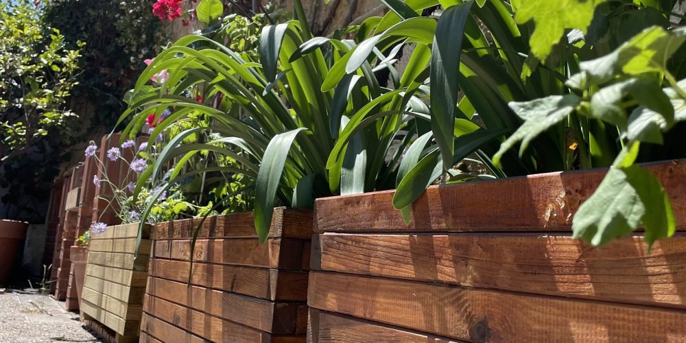 Terraza Ana Mestres junio 24 (4)