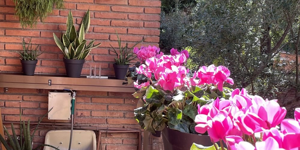 Terraza Puchet figuerola (5)