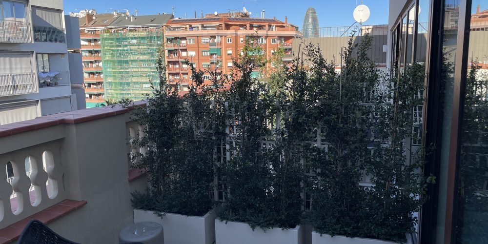 ausias Marc coliving (11)