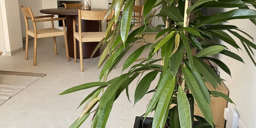 ausias Marc coliving (30)