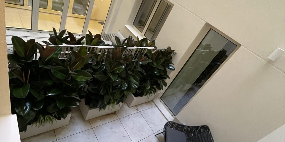 ausias Marc coliving (33)