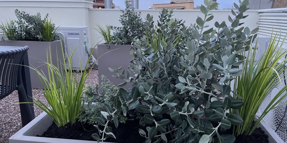 ausias Marc coliving (55)