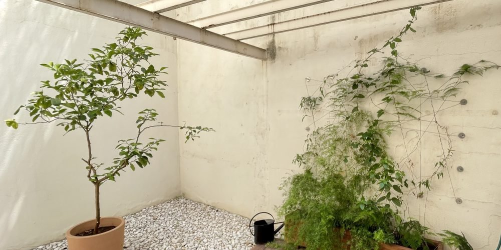 despacho abogados después (1)