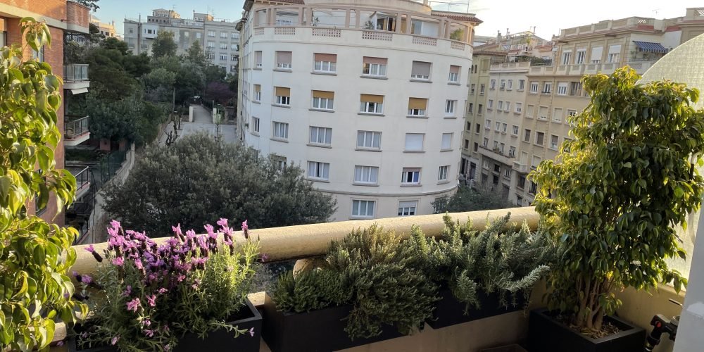 terraza Ana Muñoz (4)