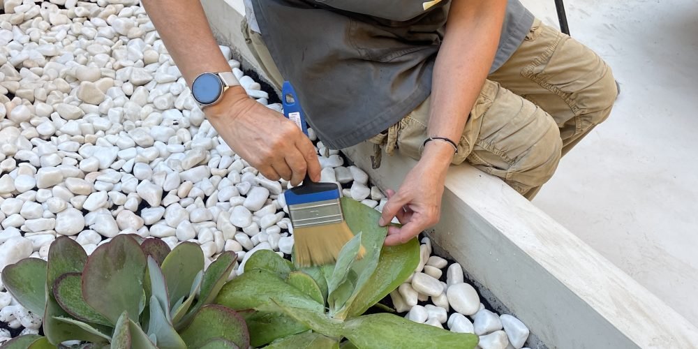 terraza Nammi con riego (4)