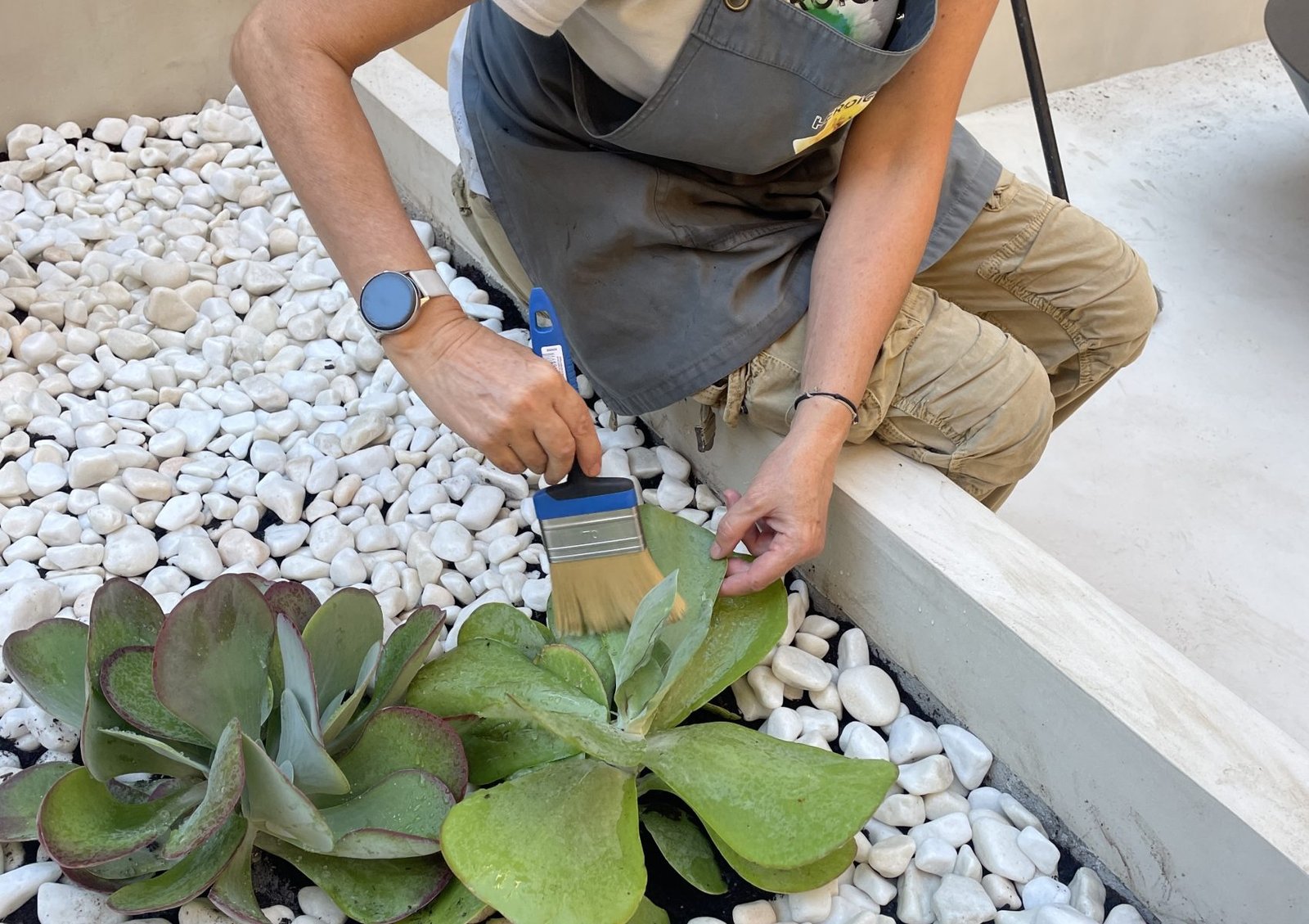 terraza Nammi con riego (4)