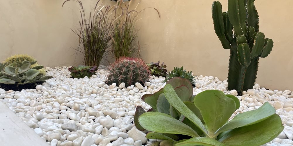 terraza Nammi con riego (7)