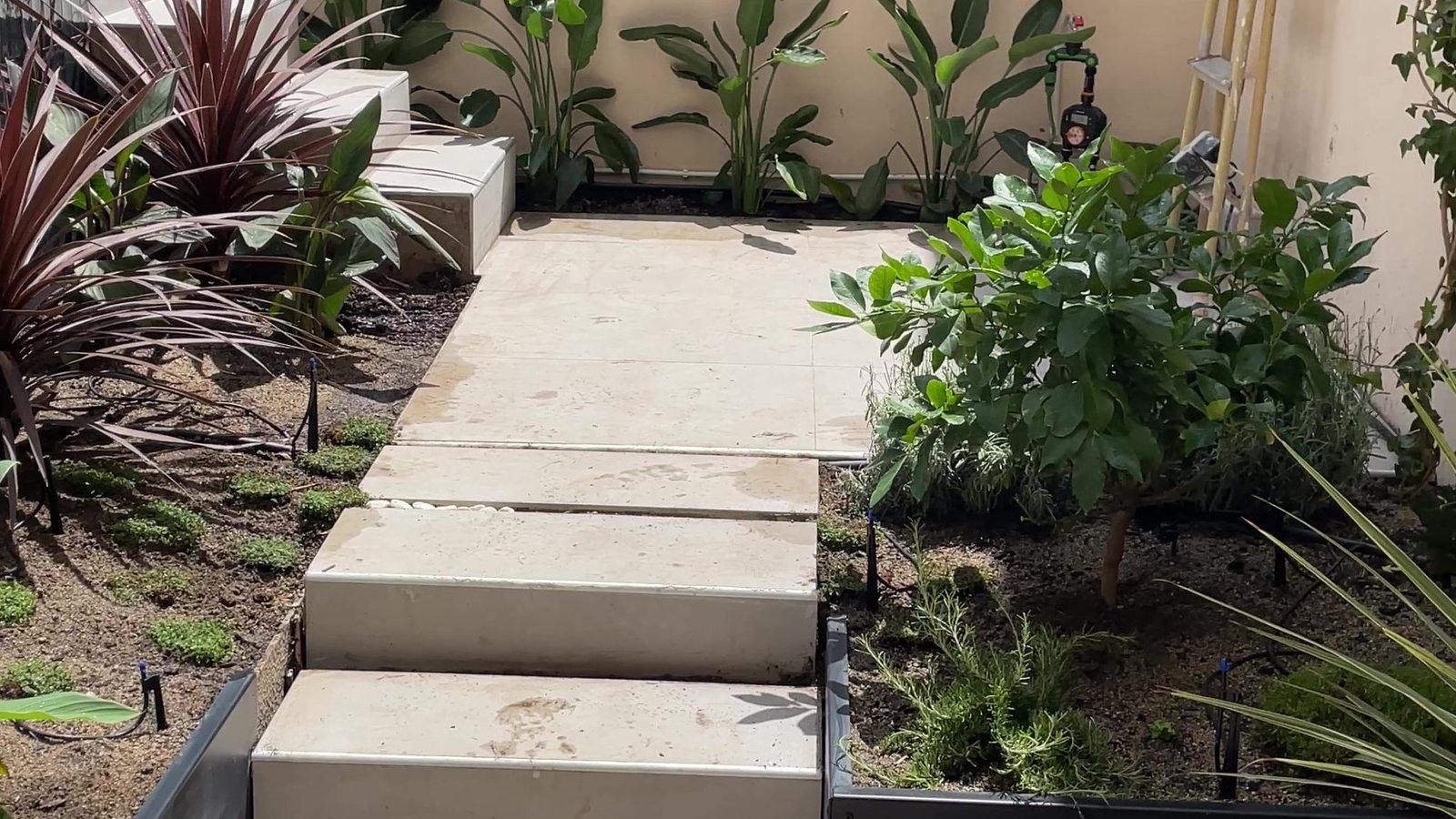 video Jardin Bonanova julio 25 (2) - frame at 0m7s